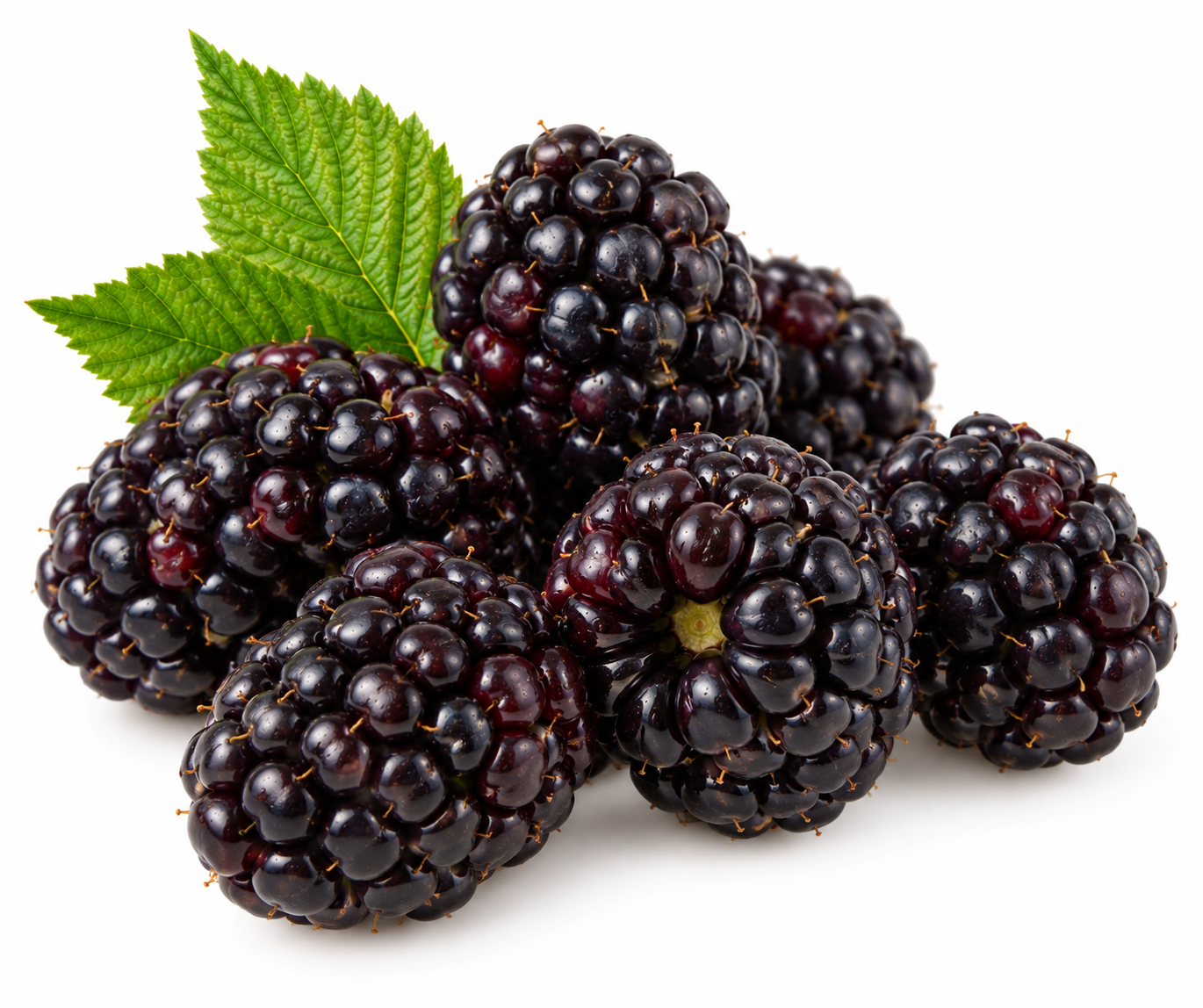 blackberry