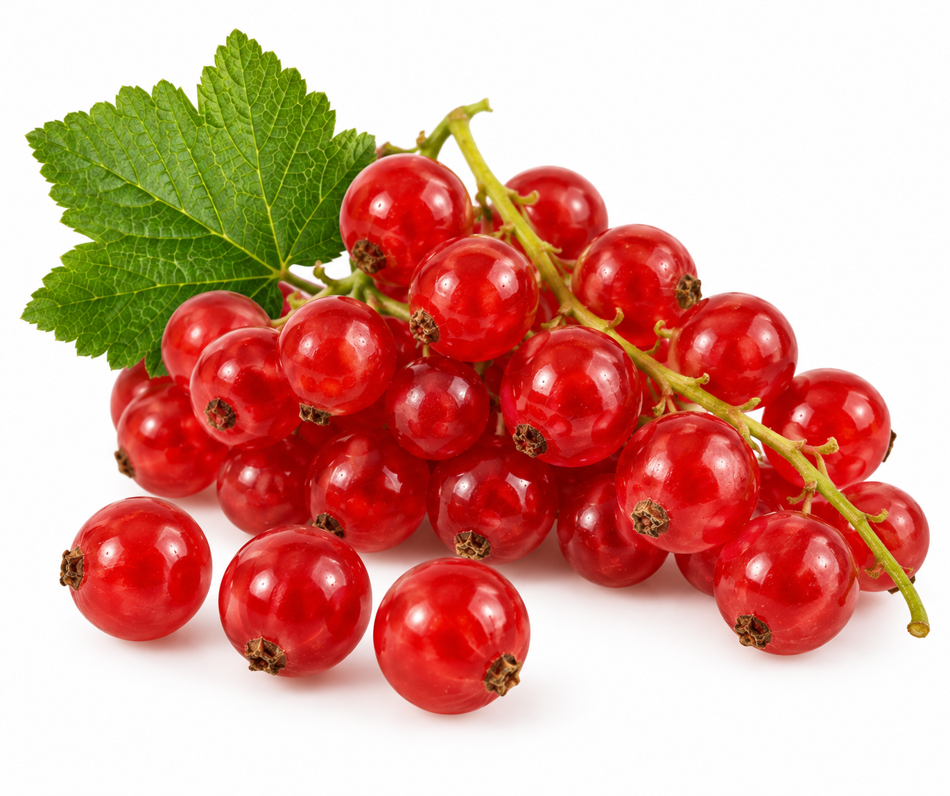 redcurrant
